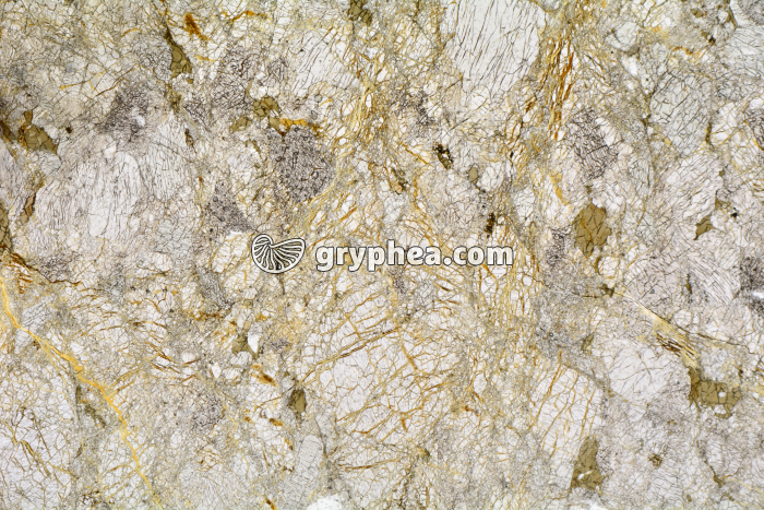 Péridotite serpentinisée LPNA x3,5 - gryphea.com